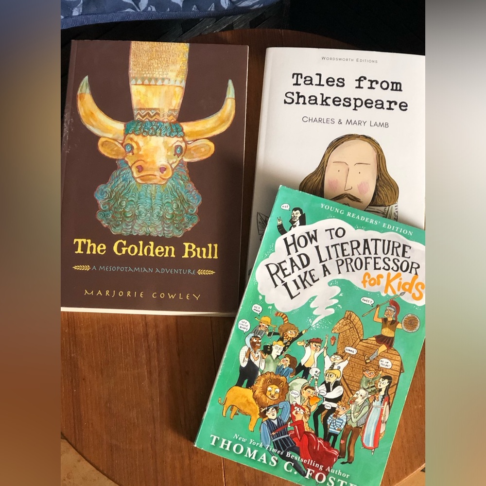 Various kids’ books, great for homeschooling